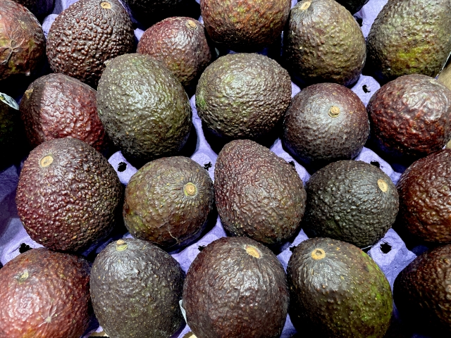 温暖化を逆手に取る!?アボカド栽培が日本で注目される理由|画像3