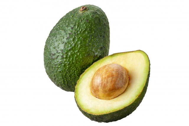 日本でアボカドは本当に育つのか？〜主要産地・気候条件・失敗例〜｜画像１