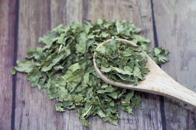 桑茶の栽培・加工完全ガイド。初心者でもわかる、桑茶づくり｜画像３