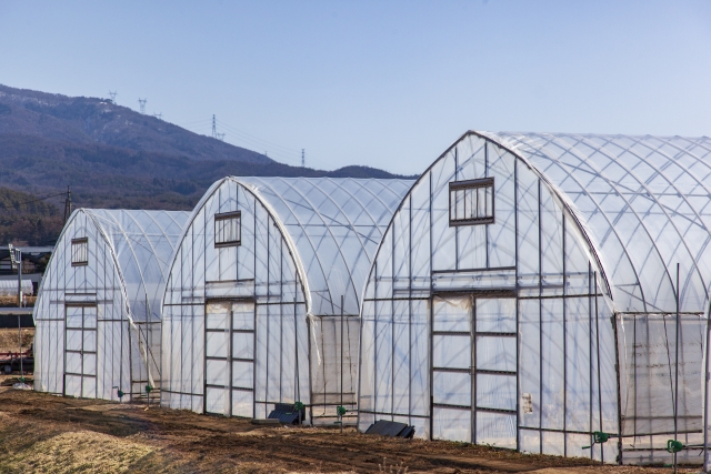 月ごとの発生しやすい病害虫まとめ。何月にどのような野菜がどんな被害に遭いやすいのか｜画像１１