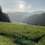 薬剤抵抗性獲得までの流れ。なぜ害虫は薬剤抵抗性を得てしまうのか。｜画像１