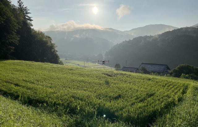 薬剤抵抗性獲得までの流れ。なぜ害虫は薬剤抵抗性を得てしまうのか。