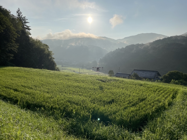薬剤抵抗性獲得までの流れ。なぜ害虫は薬剤抵抗性を得てしまうのか。｜画像１