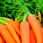 有機農業取組面積が増大。有機農業が増大傾向にある理由。｜画像１