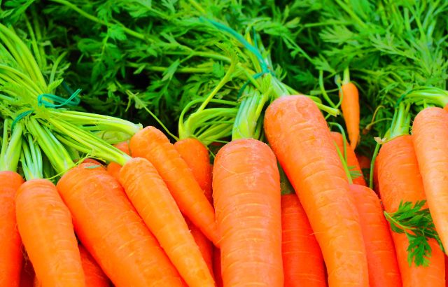 有機農業取組面積が増大。有機農業が増大傾向にある理由。