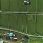 日本の農業技術が世界で活躍！？世界で活躍する日本の農業技術まとめ｜画像１