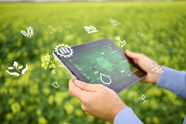 農業と「機械学習」の関係。そもそも機械学習とは。農業分野における活用とは。｜画像２