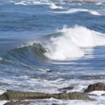 新たな農業の形！？海水を使った農業とは｜画像１