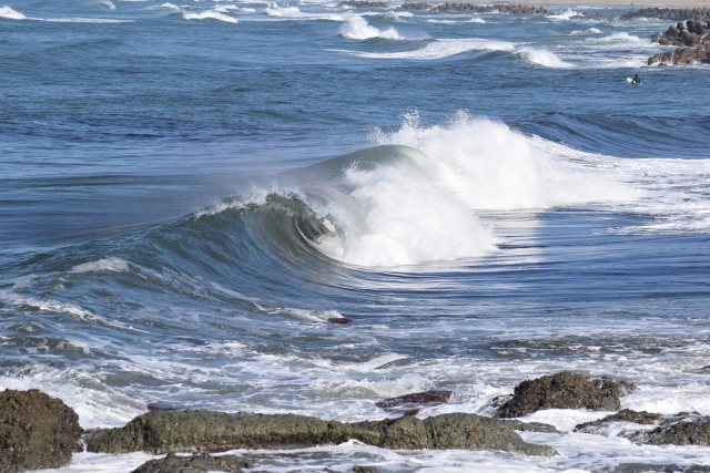 新たな農業の形！？海水を使った農業とは｜画像１