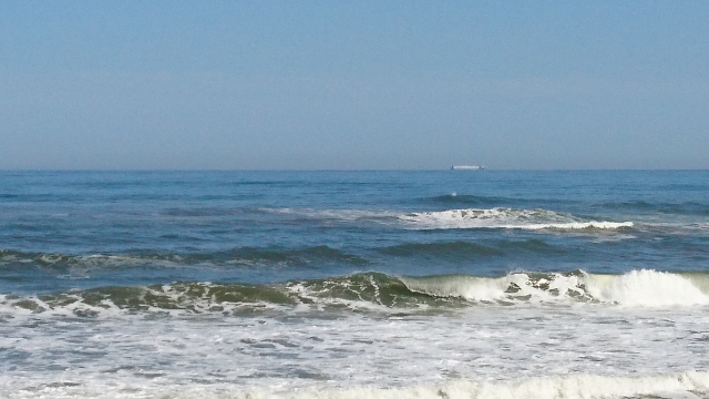 新たな農業の形！？海水を使った農業とは｜画像２