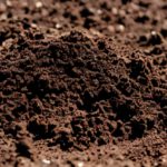 ノー・ディグ農法の始め方。準備から実践、失敗しないためのコツまで｜画像１