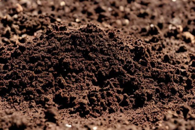 ノー・ディグ農法の始め方。準備から実践、失敗しないためのコツまで｜画像１