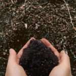 微生物を活用した栽培体系。土の生きものを活かして病害虫に強い畑をつくる考え方｜画像１