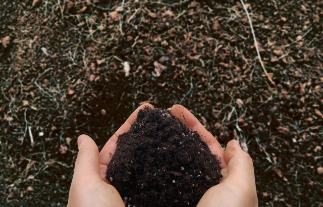 微生物を活用した栽培体系。土の生きものを活かして病害虫に強い畑をつくる考え方