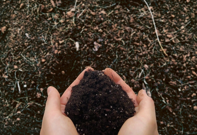 微生物を活用した栽培体系。土の生きものを活かして病害虫に強い畑をつくる考え方|画像1