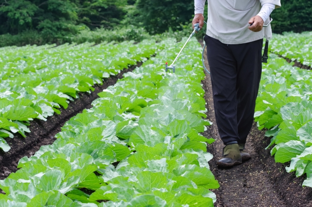 オルトランってどんな農薬?何に効く?対象作物や注意点についても紹介|画像2