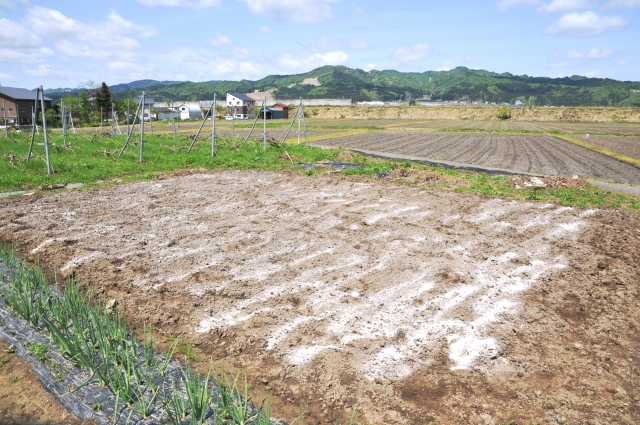 消石灰・苦土石灰・有機石灰の比較まとめ |画像2