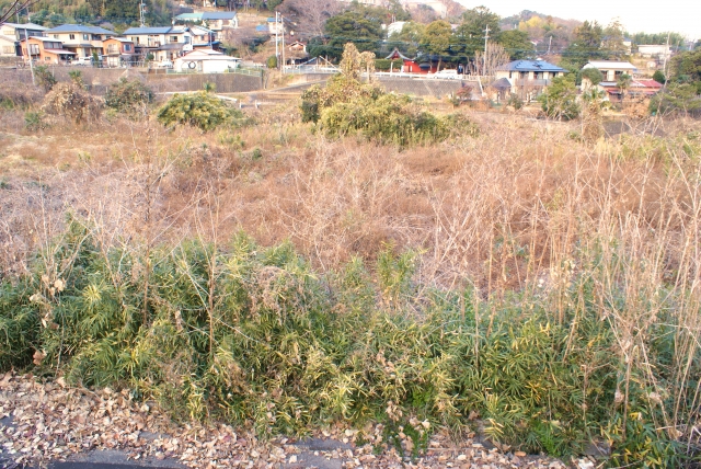 不耕起栽培に適した土とそうでない土の違いは何か。|画像3