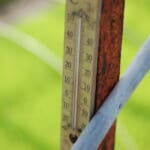 積算温度とは？開花日や収穫適期の予測に使われる理由｜画像１