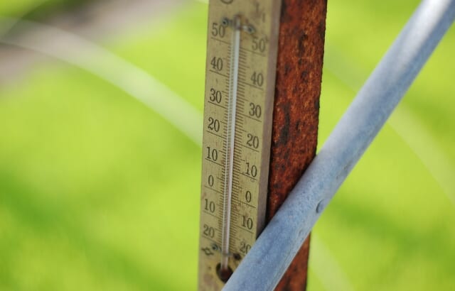 積算温度とは？開花日や収穫適期の予測に使われる理由