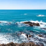 海水から肥料を作る！？海水を利用した農業最新研究まとめ｜画像１